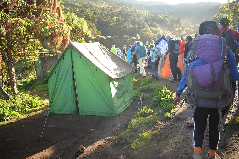 Machame Campsite